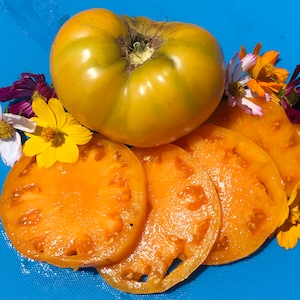 May include: A large, green, heirloom tomato sliced into thin, orange slices. The tomato slices are arranged on a blue surface with several small, colorful flowers.