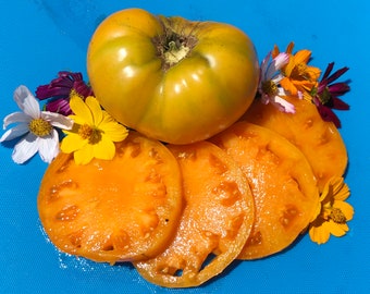 Kellogg's Breakfast Orange Heirloom Beefsteak Tomato Vegetable Seeds
