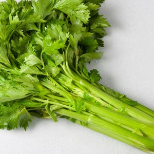 Utah 52 Tall Celery Seeds - Grow This Extra Tall & Crisp Heirloom Celery Variety