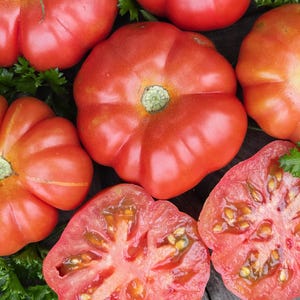 Costoluto Genovese Tomato Seeds - Heirloom Italian Variety For Making Tomato Sauce & Fresh Eating