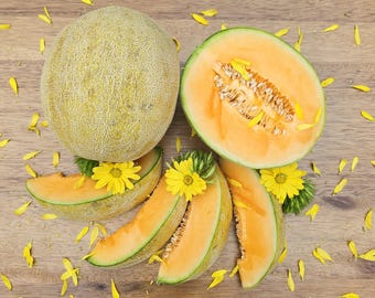 50 Amarillo Oro Melon Seeds | NON-GMO – Seed World