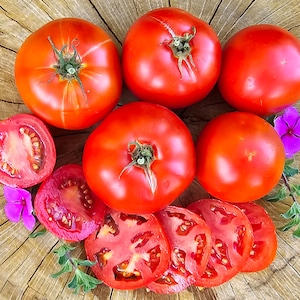 Marglobe Heat Tolerant Red Heirloom Tomato Vegetable Seeds
