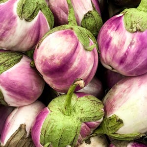 Rosa Bianca Purple/White Italian Heirloom Eggplant Vegetable Seeds