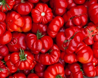 May include: A close-up of a collection of ripe, red tomatoes. The tomatoes have irregular shapes and textures, with some showing green stems. The vibrant red colour and varied forms create a visually appealing display, suggesting freshness.
