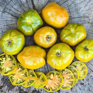 Thorburn&#39;s Terra Cotta Heirloom Tomato Seeds – Unique & Flavorful Heirloom Tomato Vegetable Garden Seeds