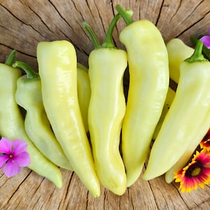 Banana Sweet Wax Peppers Heirloom Vegetable Seeds
