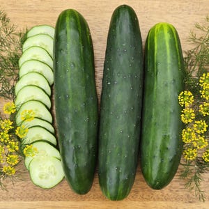 Straight Eight Cucumber Seeds - Classic Market Variety, High Yield