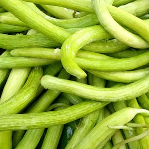 Metki Armenian Cucumber – Long, Crisp, Light Green Cucumber