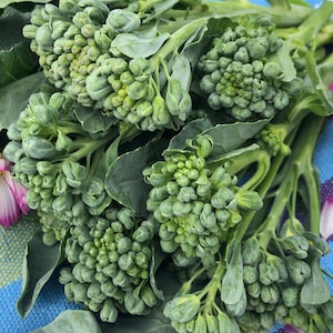Puede incluir: Un manojo de br&oacute;coli verde fresco con hojas, dispuesto sobre un fondo de tela a rayas azules y blancas con p&eacute;talos de flores rosas.