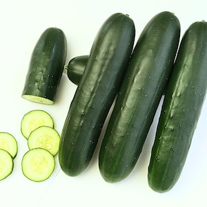 201 Hybrid Cucumber Seeds - Very High Disease Resistance - Market Slicer Cucumber Seeds