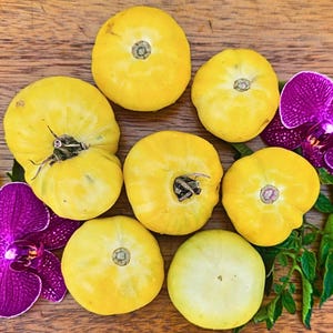 White Queen Tomato Seeds – Ivory/Yellow Heirloom Indeterminate Beefsteak Tomato
