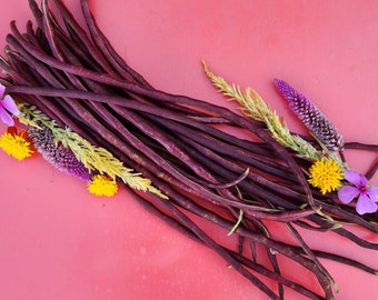 Red Noodle Yard Long Asian Noodle Beans Heirloom Vegetable Seeds