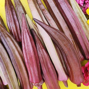 Red Burgundy Okra Seeds Heirloom Vegetable Seeds