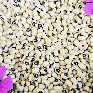 Heirloom California Black Eyed Pea #5 Seeds - High Yield, Heat Tolerant, & Easy to Grow