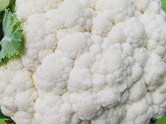 Snowball Y Improved White Cauliflower Seeds - Heirloom Vegetable Garden Seeds