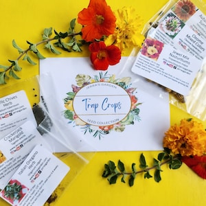 May include: A collection of seed packets for trap crops, including Garlic Chives, Crackerjack Marigold, Italian Oregano, Jewel Mix Nasturtiums, Cleome Mixed Colors, and Autumn Beauty Sunflowers. The packets are arranged on a yellow background with flowers.