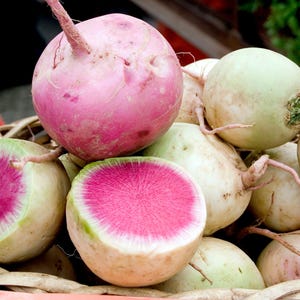 Heirloom Watermelon Radish Seeds – Great for Pickling & Slicing