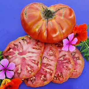 Texwine Red Beefsteak Tomato Heirloom Seeds - Vegetable Garden Seeds