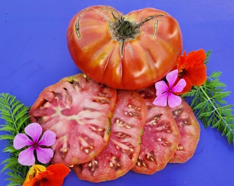 Texwine Red Beefsteak Tomato Heirloom Seeds - Vegetable Garden Seeds