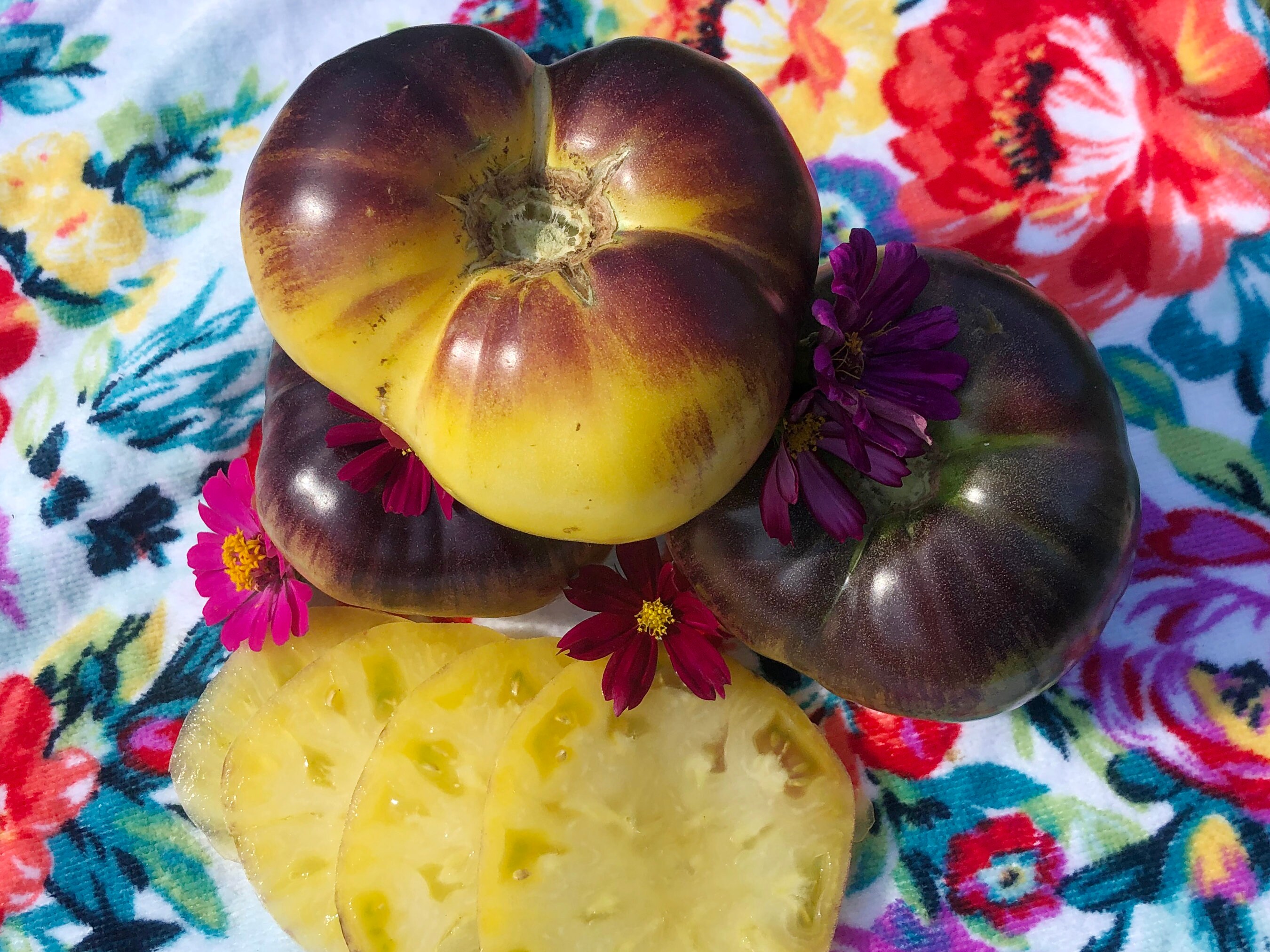 Sart Roloise Beefsteak Heirloom Tomato Vegetable Seeds - Etsy