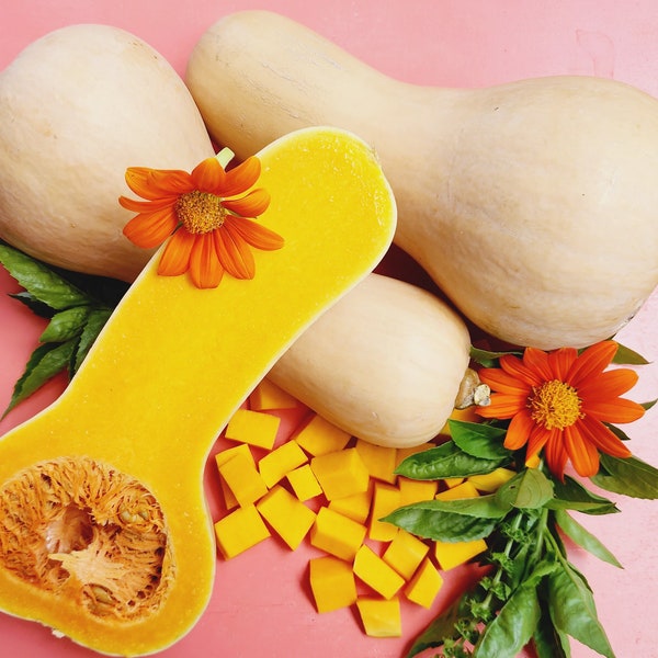 Waltham Butternut Winter Squash Heirloom Vegetable Garden Seeds