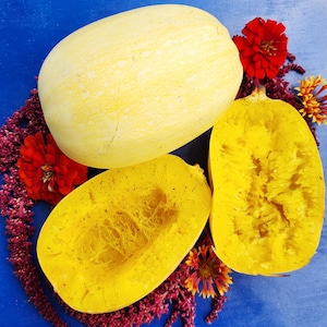 Spaghetti Winter Squash Heirloom Vegetable Garden Seeds
