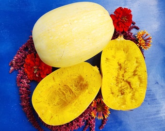 Spaghetti Winter Squash Heirloom Vegetable Garden Seeds