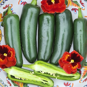 Jalapeño Pepper Seeds – Medium Heat, Perfect for Salsas & Pickling