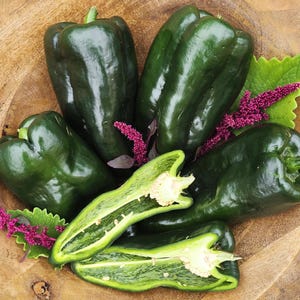 Heirloom Poblano Pepper Seeds aka Ancho Chile – Mild, Flavorful, Perfect for Roasting & Chiles Rellenos