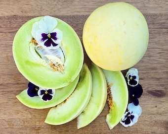 Green Flesh Honeydew Melon Seeds - Delicious, Fragrant & Easy to Grow!
