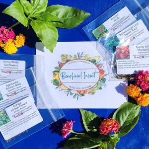 Beneficial Insect Garden Seed Collection Gift Set (6 Varieties for the ...