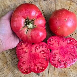 Polish Red/Pink Heirloom Beefsteak Tomato Vegetable Seeds - Large Beefsteak Tomato Seeds
