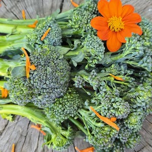 Pu&ograve; includere: Un mazzo di broccoli verdi freschi con steli, disposti su una superficie di legno. Il broccolo &egrave; circondato da petali di fiori arancioni.