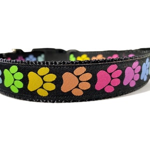 Paw Print - Rainbow - Dog Collar - 1" Wide