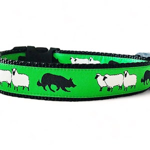 Border Collie - Herding - Sheep - Green - Dog Collar - 1" Wide