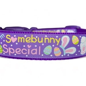 I&#39;m Somebunny Special - Easter - Easter Eggs - Easter Bunny - Spring - Dog Collar - 1&quot; Wide