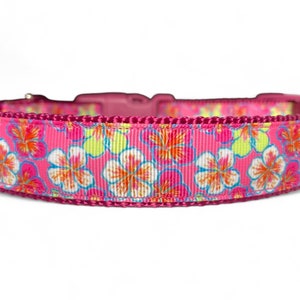 Flowers - Floral - Pink - Dog Collar - 1" or 3/4" Wide