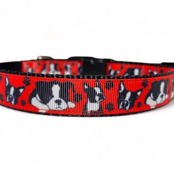 Boston Terrier - Red - Dog Collar - 3/4" Wide