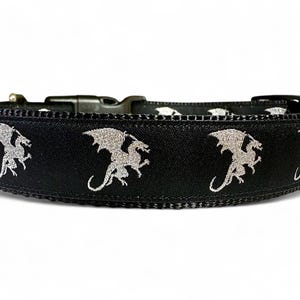 Dragon - Dog Collar - 1&quot; Wide