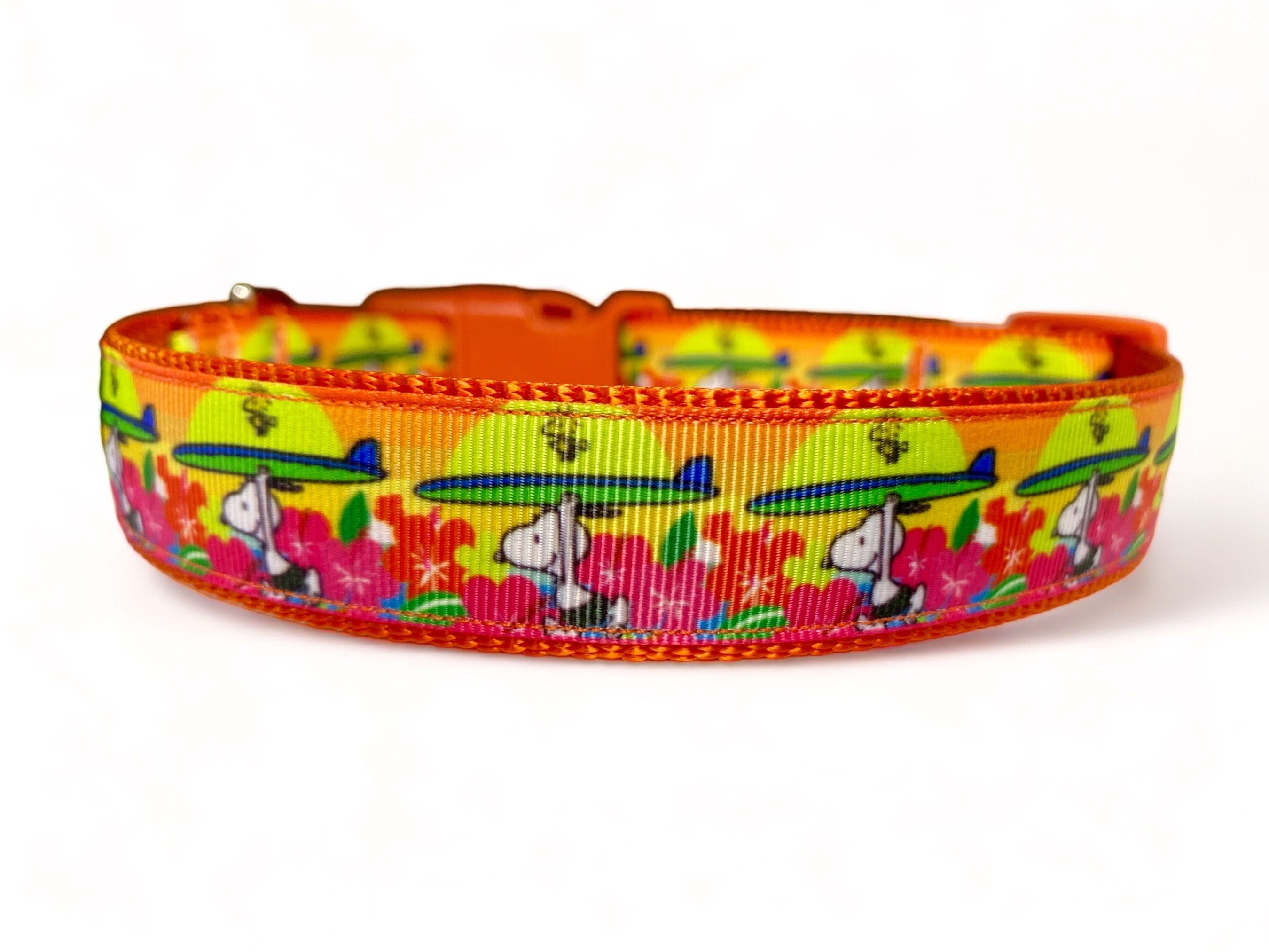 Beagle - Surfing Orange Dog Collar 1" Wide