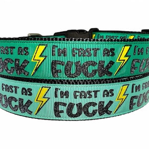 I&#39;m Fast As F**K - Green - Dog Collar - 1&quot; Wide