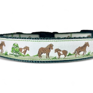 Horses - Ponies - Farm - Green - Dog Collar - 3/4&quot; Wide