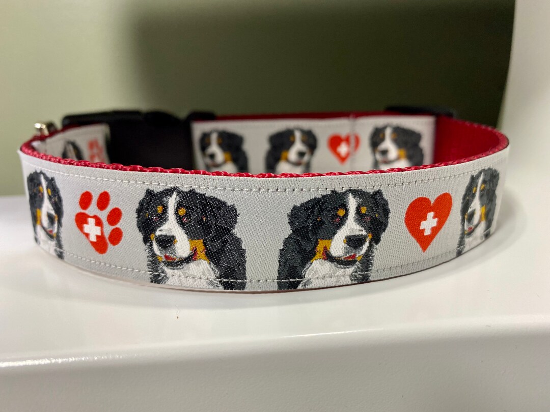 Bernese Mountain Dog Berner Dog Collar 1 Width Matching Leash Optional
