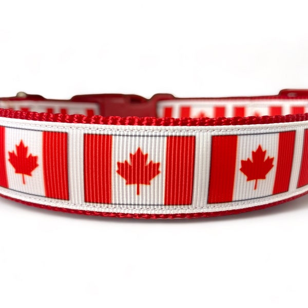 Canadian Flag - Canada - Maple Leaf - Dog Collar - 1" Wide