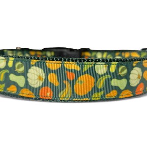 May include: A green dog collar with a pattern of orange, yellow, and white gourds and squash.
