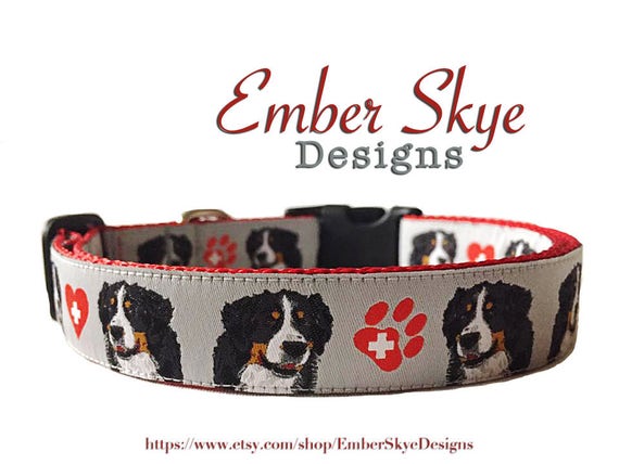 bernese mountain dog collar size