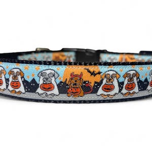 Halloween - Trick or Treat - Dogs - Dog Collar - 3/4&quot; Wide