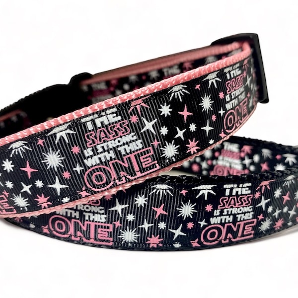 The Sass Is Strong With This One - Space - Dog Collar - 1" Wide