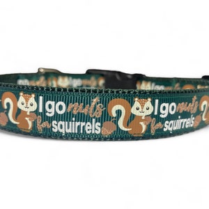 Puede incluir: Collar de perro verde con un estampado de ardillas blancas y doradas y el texto "I go nuts for squirrels".