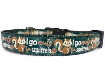 I Go Nuts For Squirrels - Green - Brown - Dog Collar - 3/4" Width